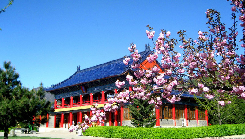 万佛园玉佛殿春.jpg